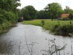 Dinkel